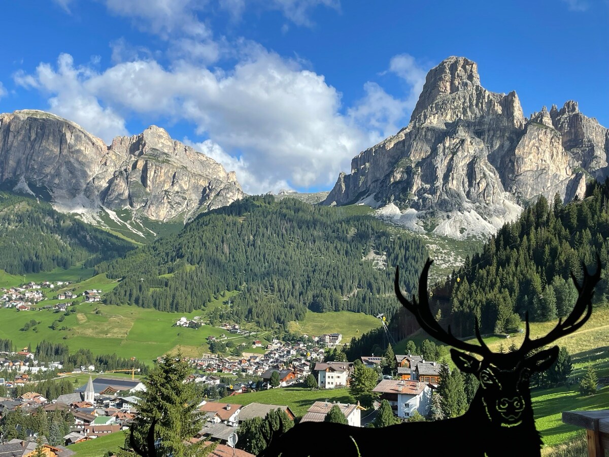 滑雪进出，无与伦比的景观（ ChaletLiosa-Corvara ）