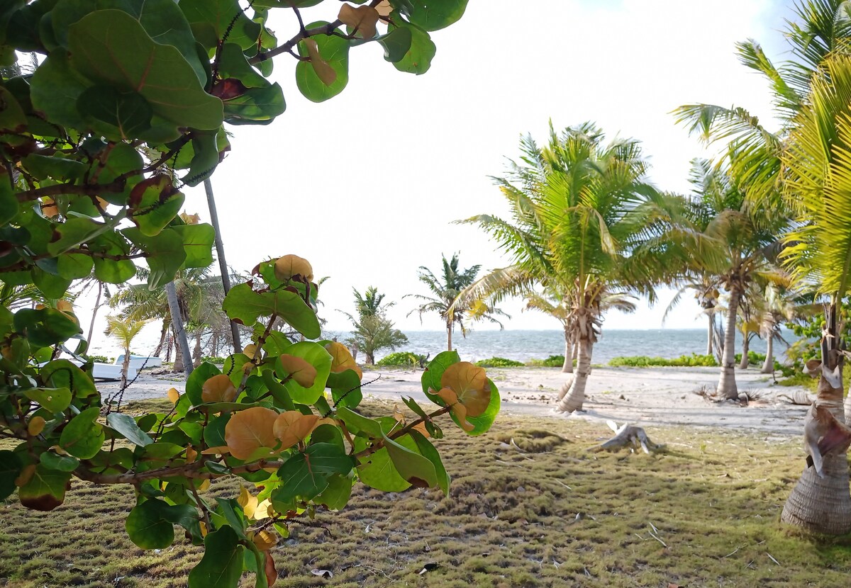 Habitación privada común frente a playa de la costa maya