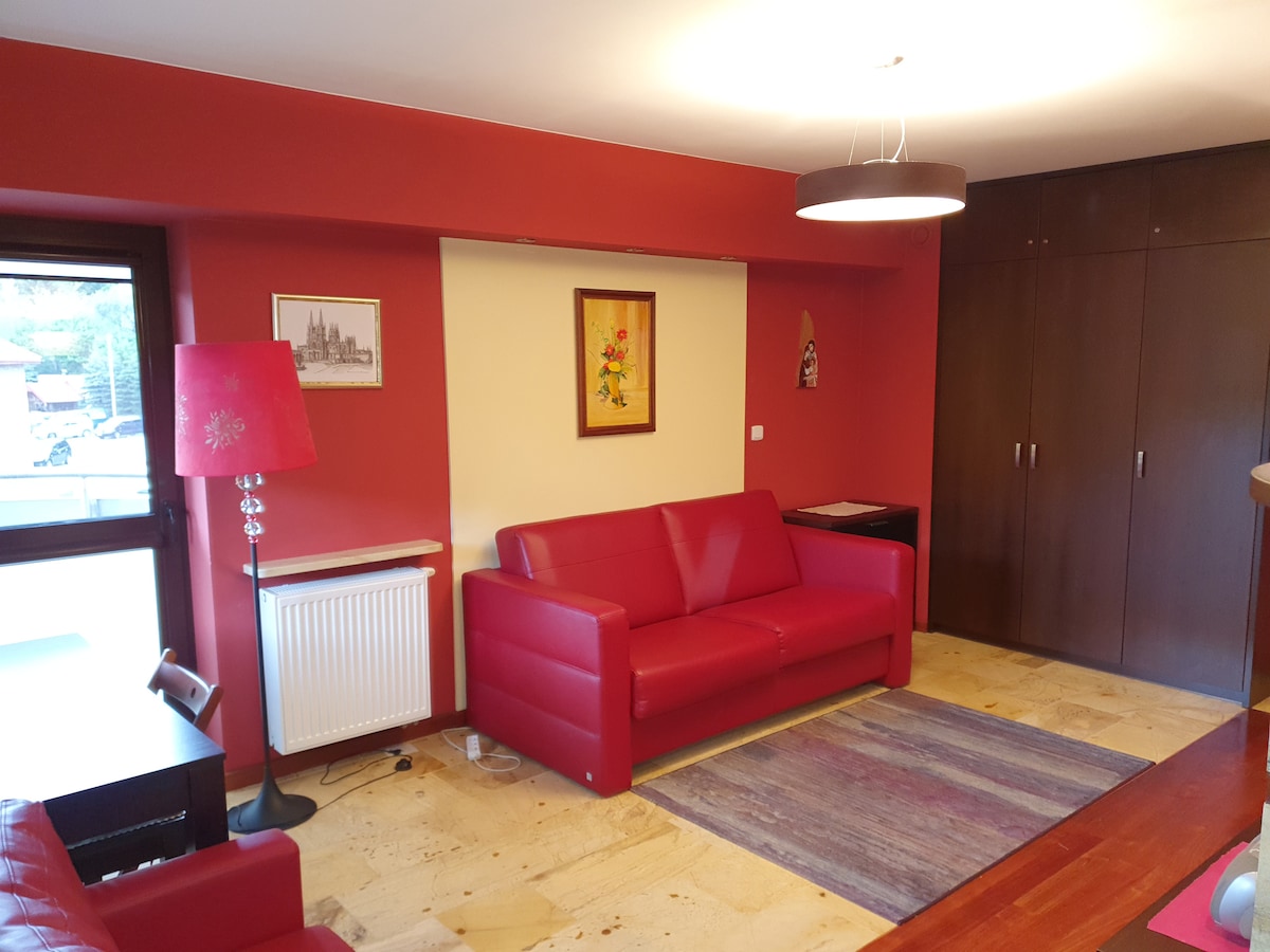 Przytulny apartament 115 - Krynica Zdrój