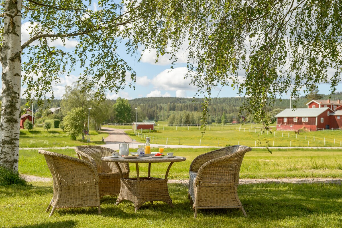 位于Hälsingegård的乡村舒适住宿加早餐房源