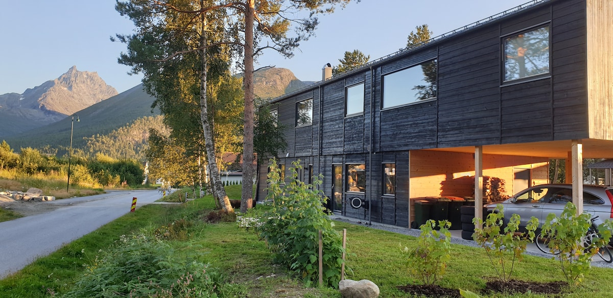 位于伊斯菲尔登（ Isfjorden ）的新建现代化房屋。