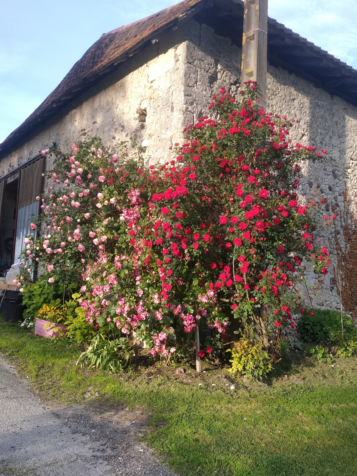 Maison de campagne à la ferme