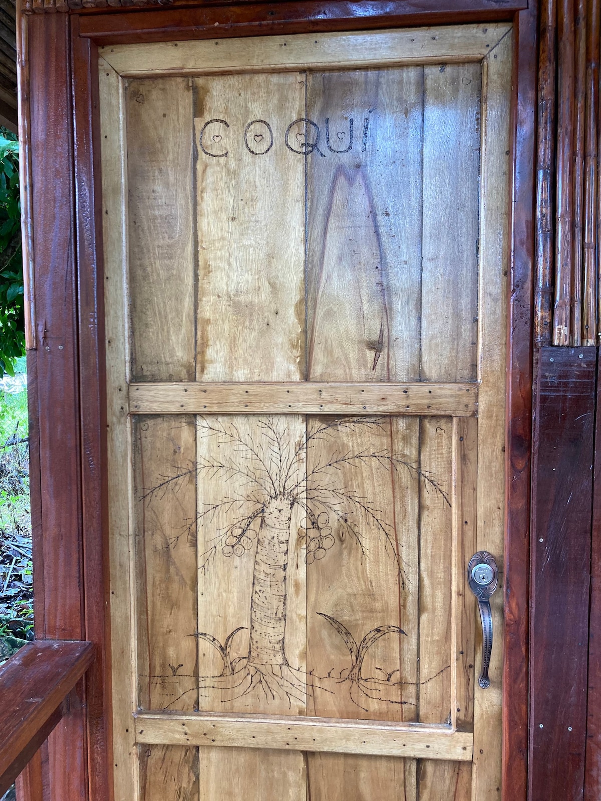 Eco Glamping Coquí- Nuquicer ：海洋、红树林等