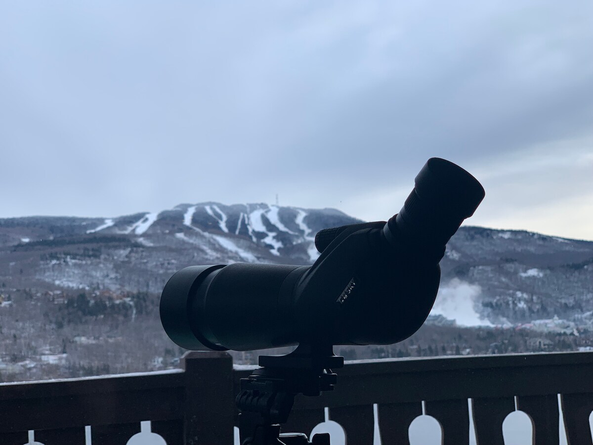 令人惊叹的湖景山景2卧室公寓