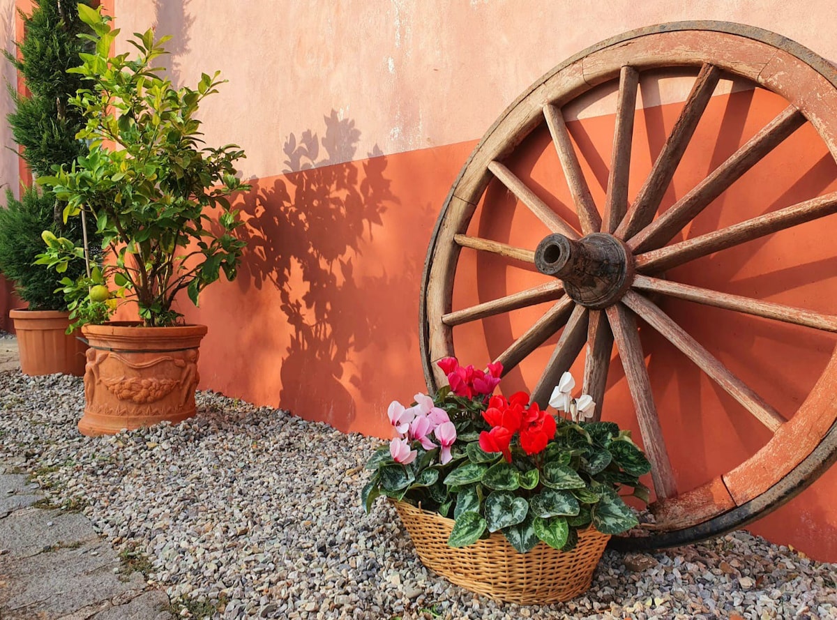 Lucca Tra i Colli dell 'Antico Frantoio