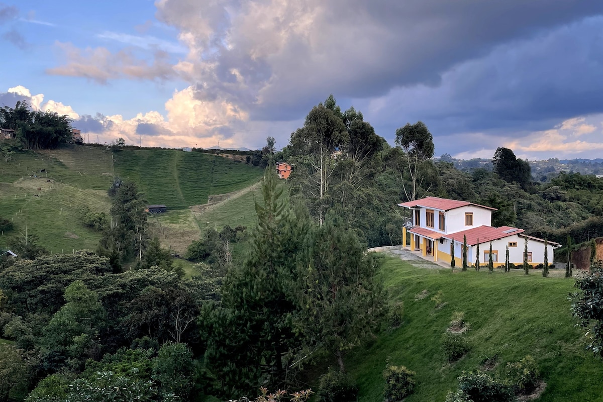 ✿ Enchanting Colombian Avocado Farm