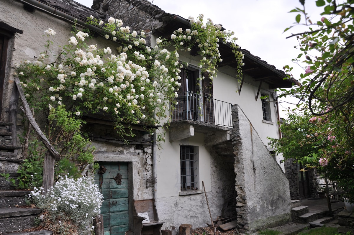 The Farmer House of Villa Raghezzi