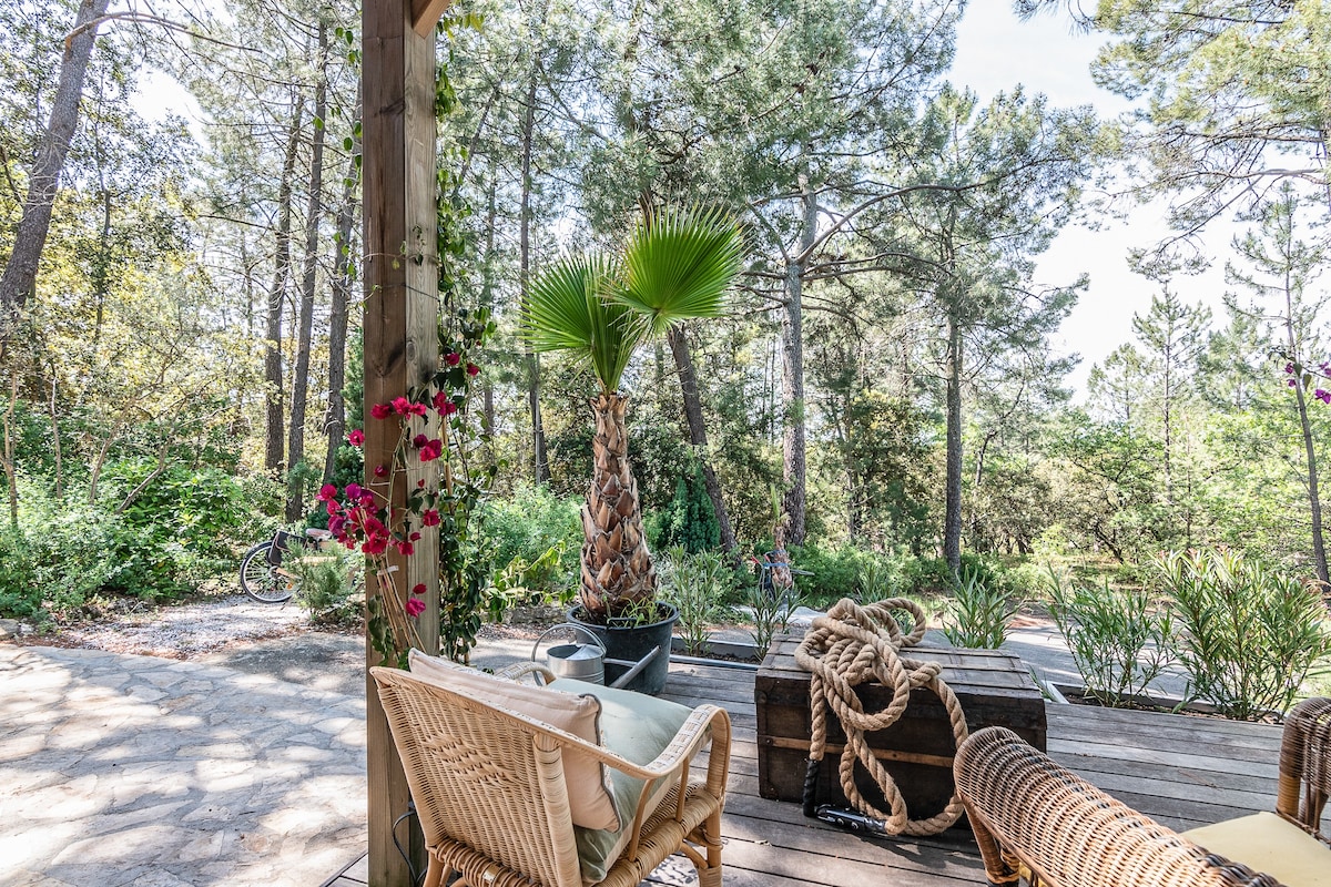 Magnifique chambre d'hôtes avec piscine