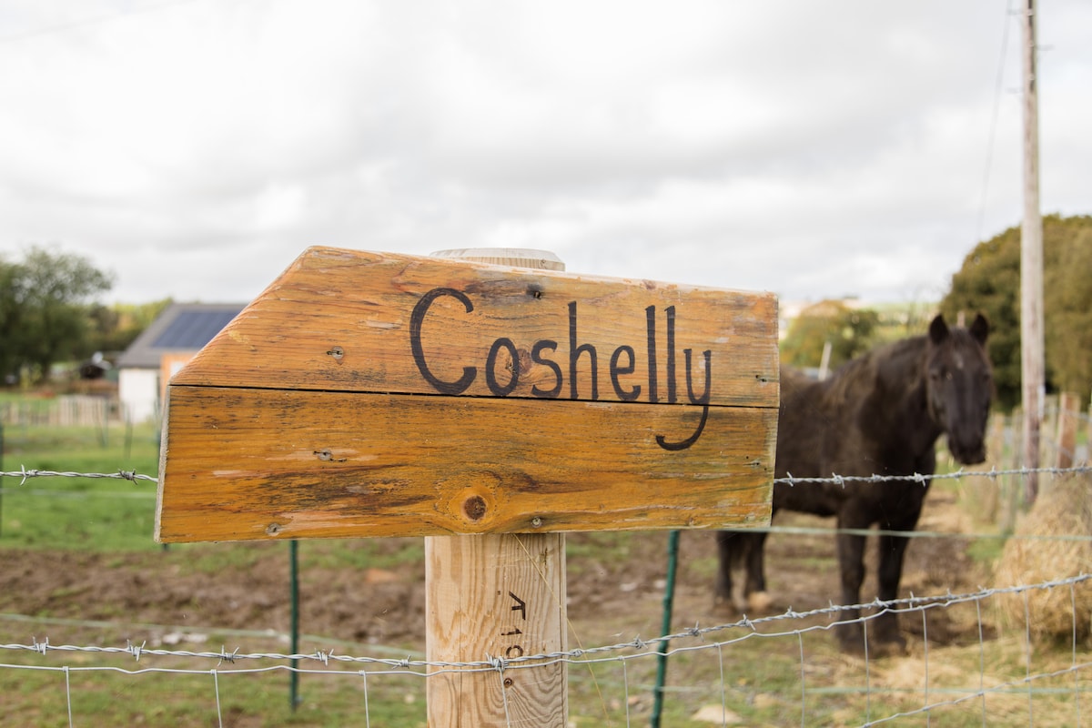 Comfortable, dog-friendly steading conversion