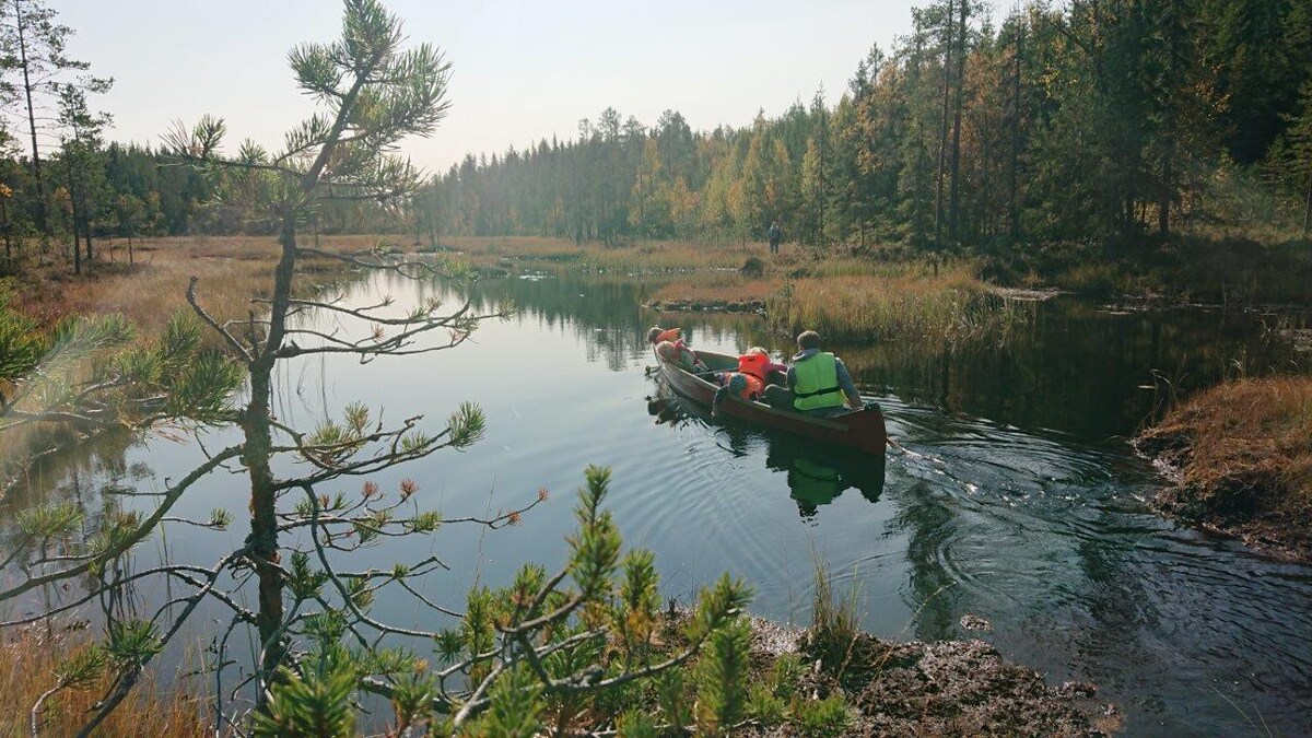森林深处有钓鱼和独木舟的小木屋