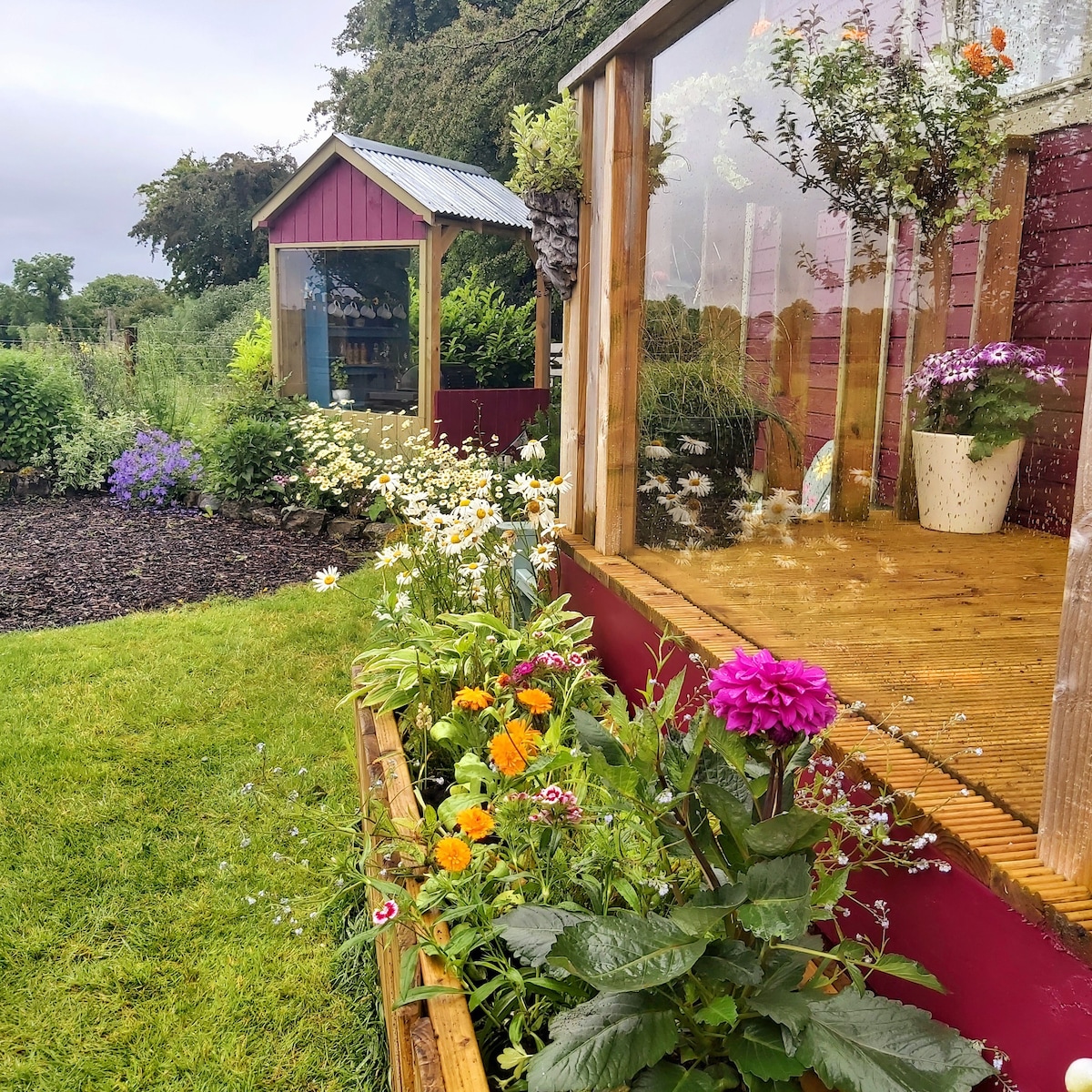 「戈尔韦乡村」

The Feathers Shepherds Hut