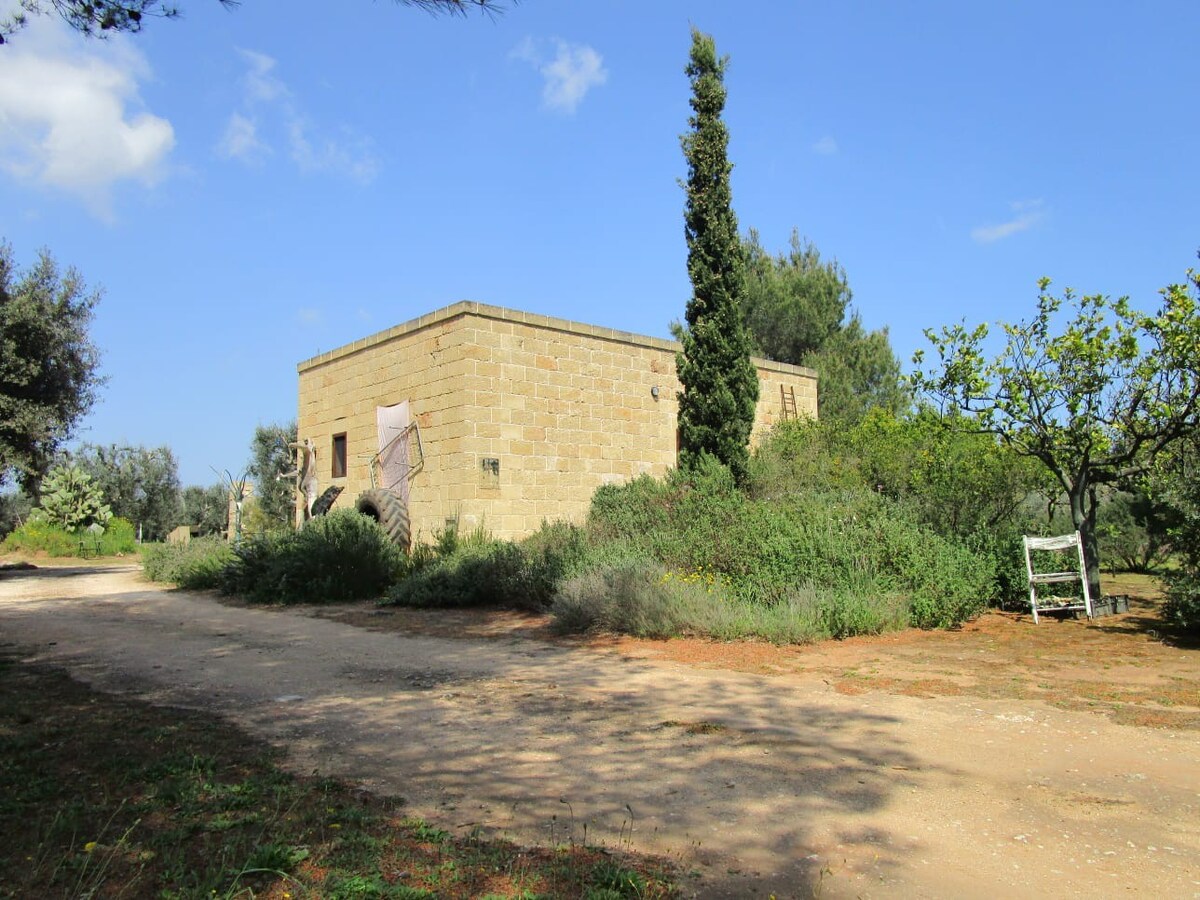 Casa d'artista in campagna