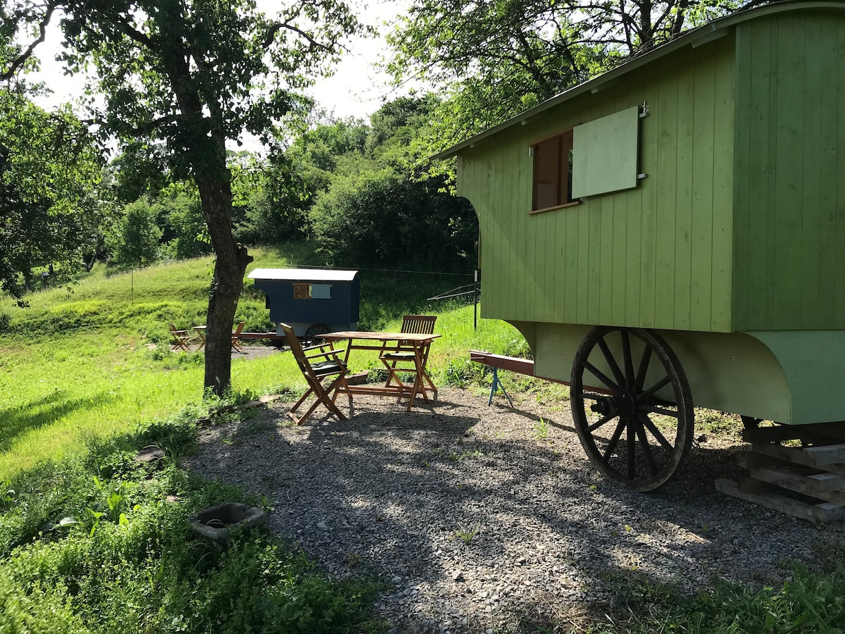 大自然中的微型住宅，位于生物动力农场