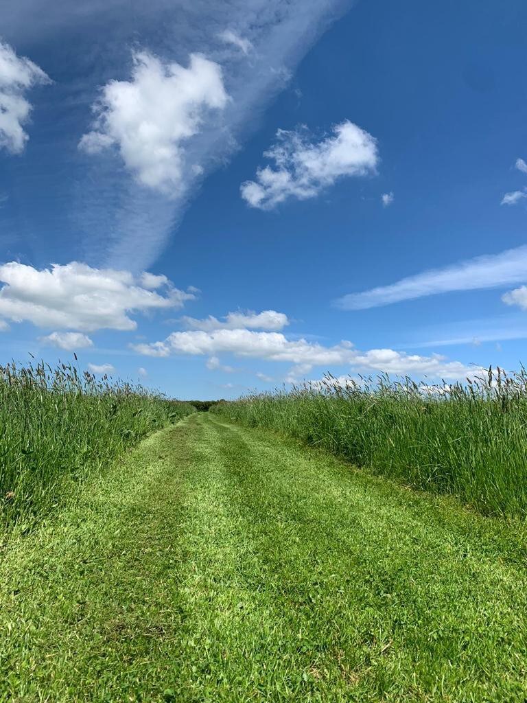 愉快的Barn Annexe South Downs, Hampshire