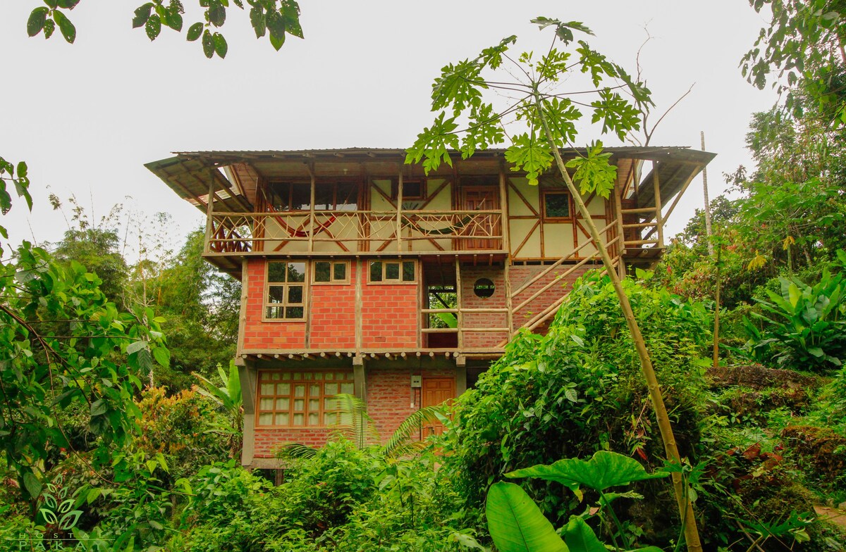 Hostal Pakay的亚马逊丛林隐蔽之旅