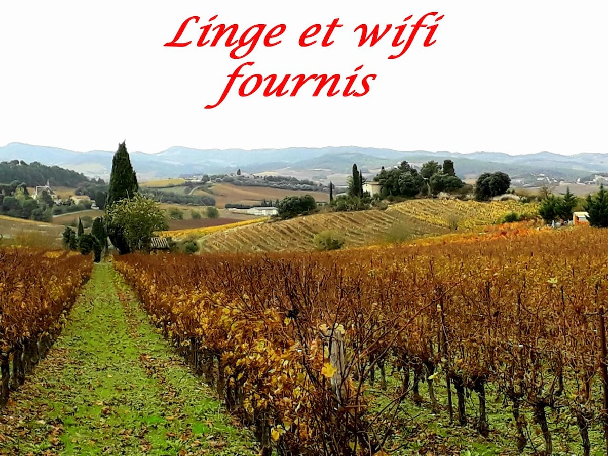 La Languedocienne Downtown空调无线网络