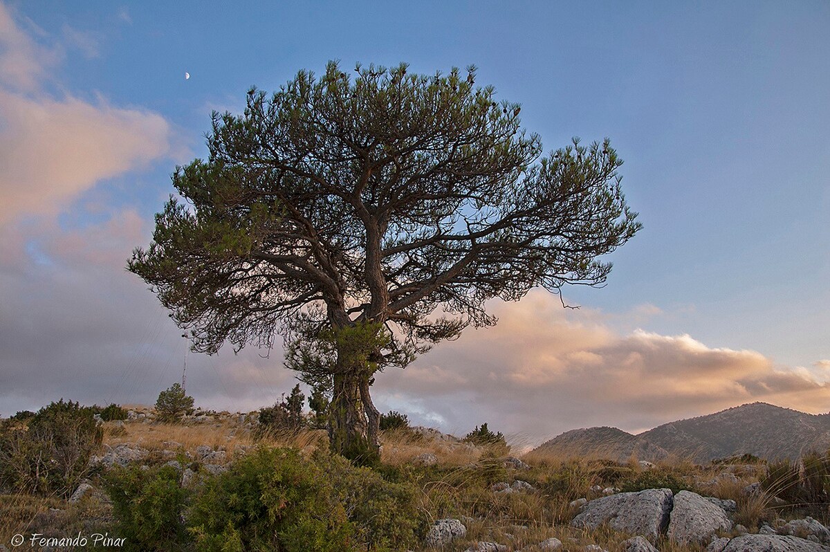 CASERIO INAZARES EL CIELO MAS LIMPIO DE ESPAÑA