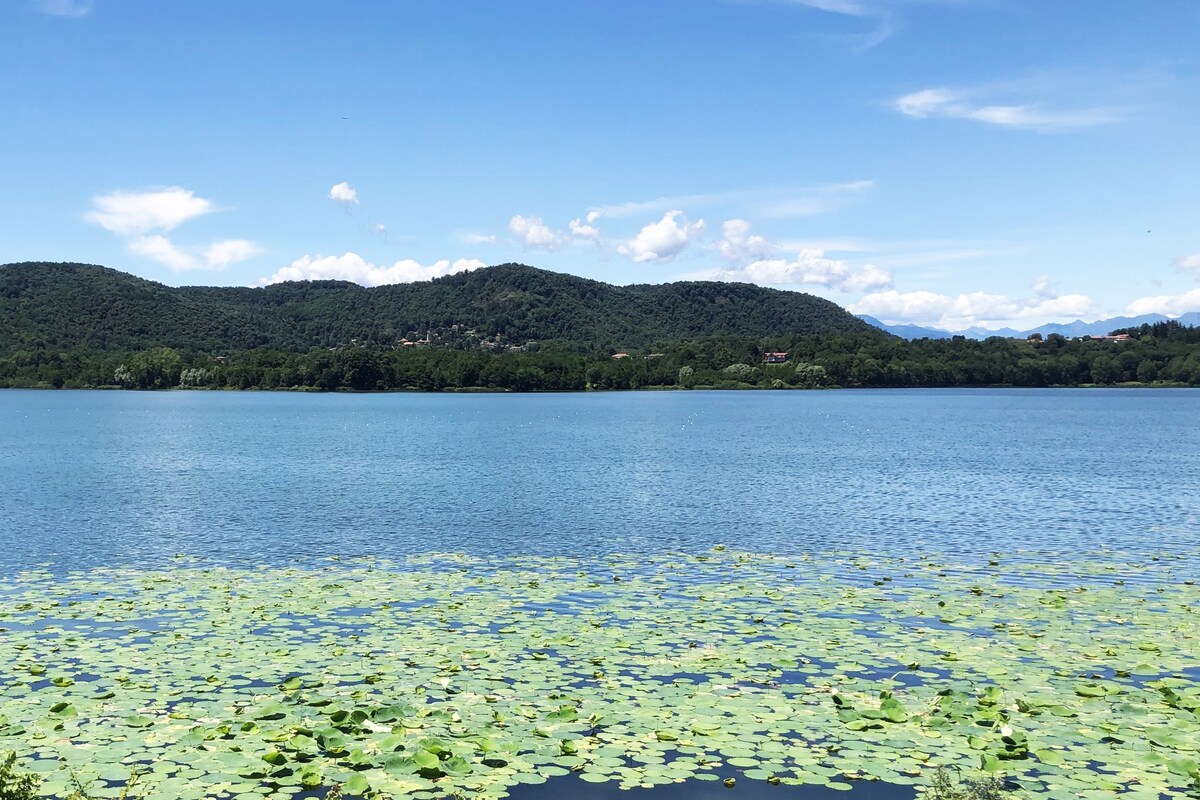 湖畔别墅，景色迷人