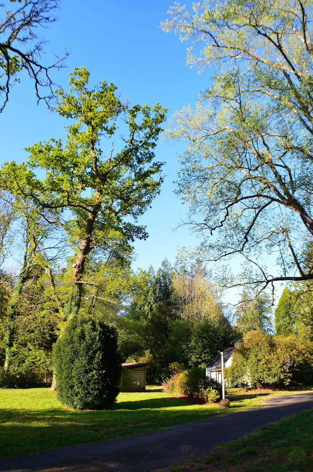 Lodge Kervoazec - Château de Kervoazec