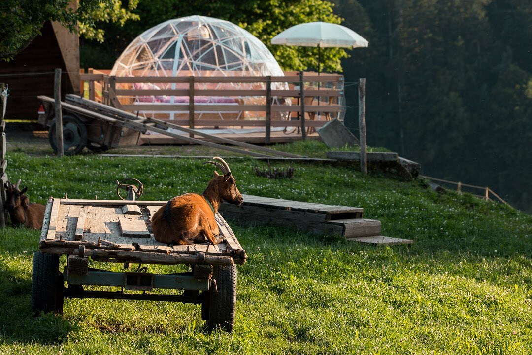 Emmental的Adventurly Star-Suite mitten im Emmental