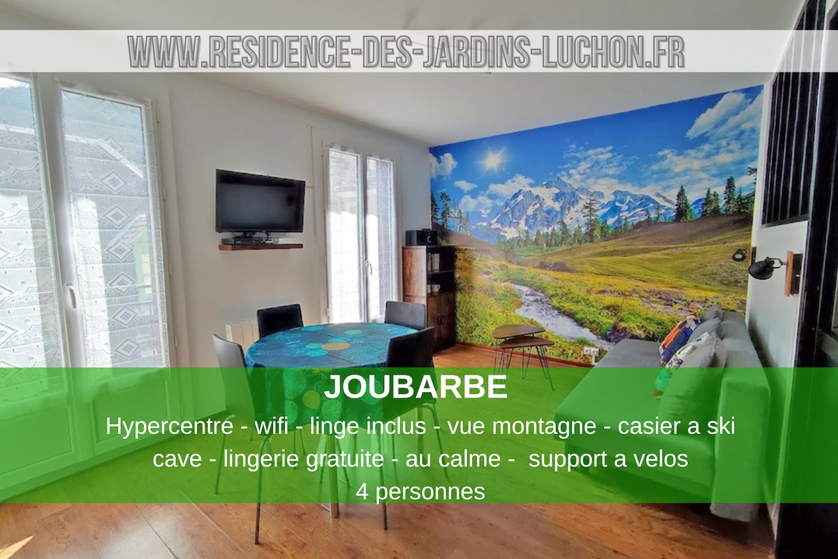 Joubarbe*** - vue montagne, hyper centre Luchon, wifi