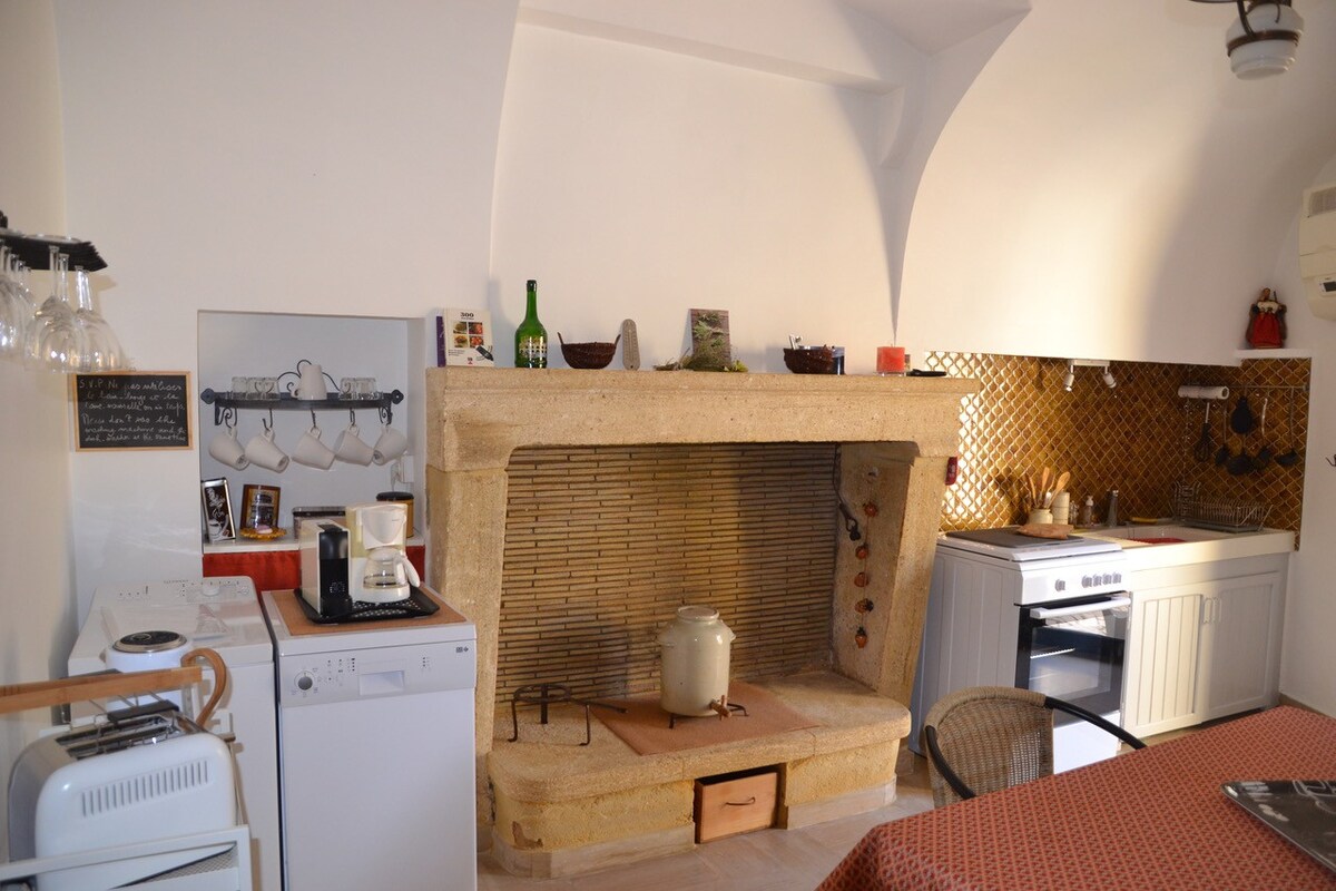卡斯蒂永杜加尔（ Castillon du Gard ）的空调村民宅