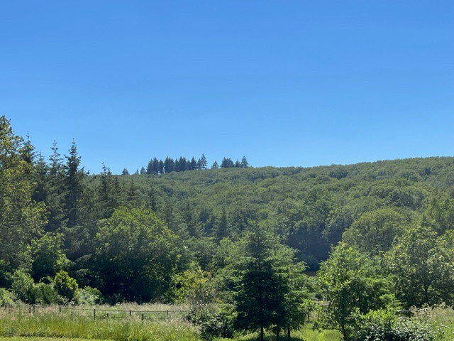 Repos bucolique dans le Morvan au gite "Junipers"