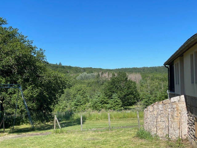 Repos bucolique dans le Morvan au gite "Junipers"