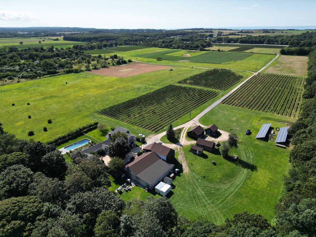 Updated Vineyard  Farmhouse on 66 Acres