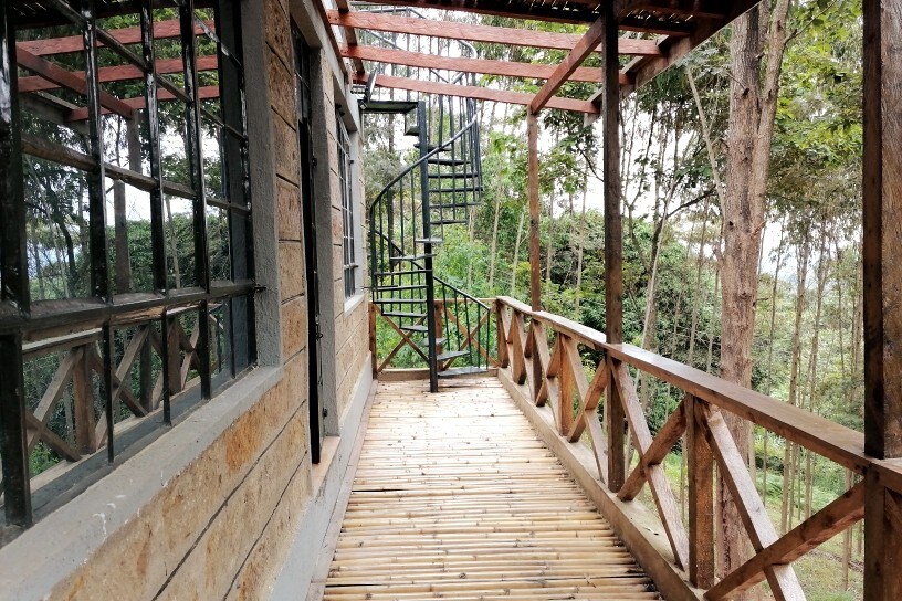 Kihingo Cottages森林中的绿叶甲板小屋
