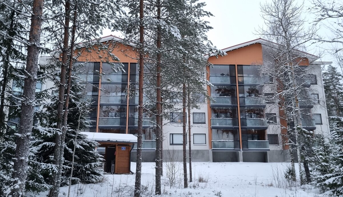 设备齐全的单间公寓，面积27平方米。, Vierumäki Chalets 6