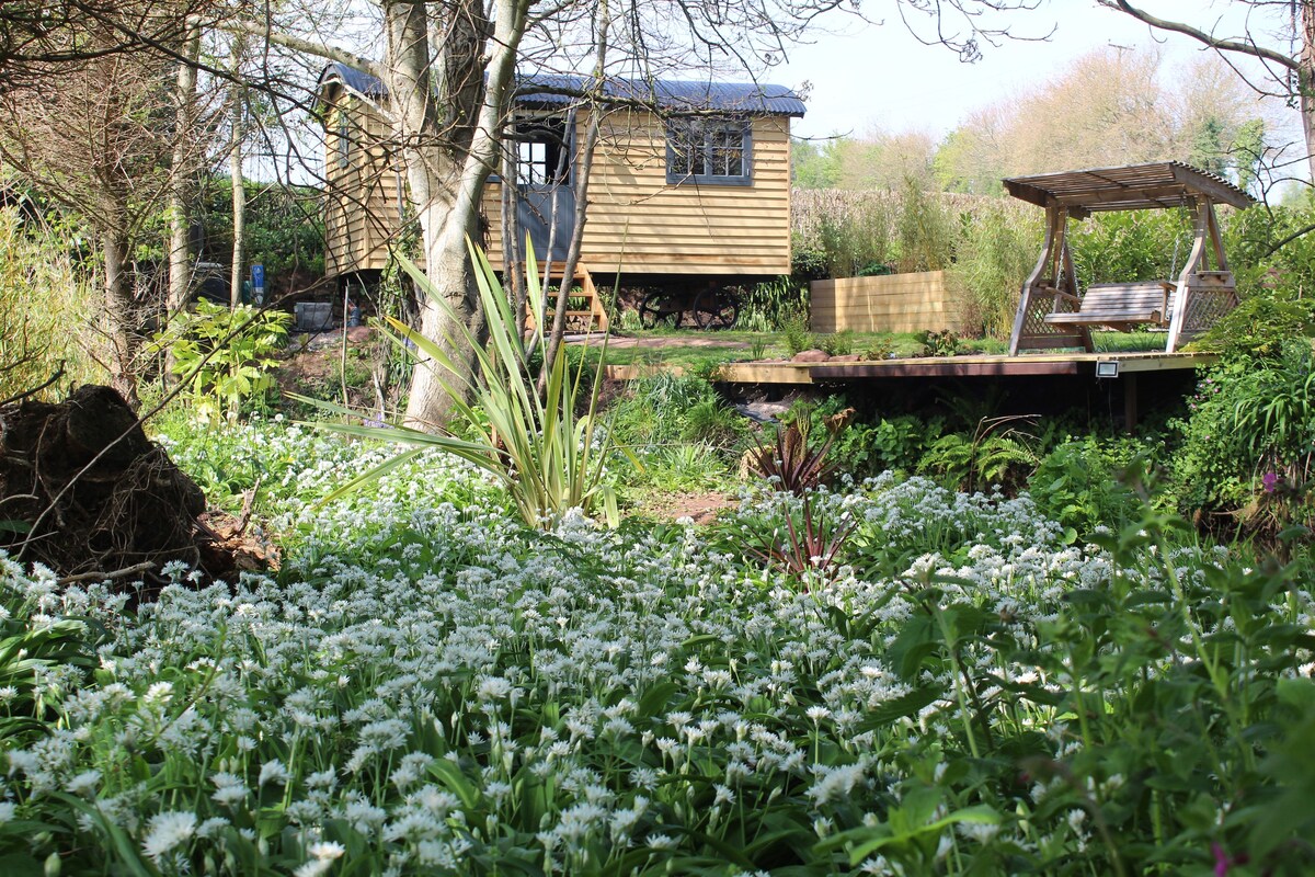 Kingfisher- Riverside Hut & Hot Tub