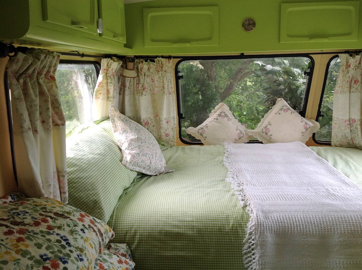 1980年的1床大篷车设置在小树林区。