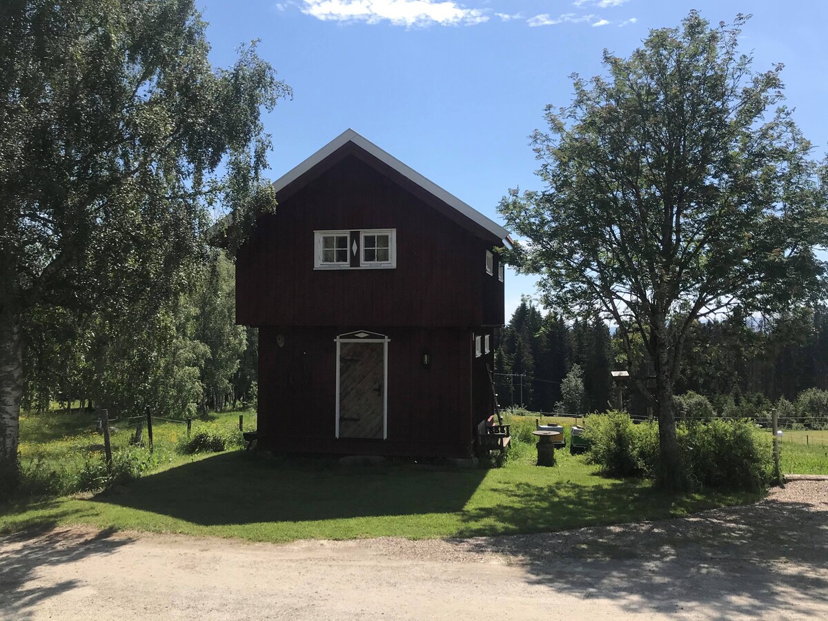 Stabbur ，一览Mjøsa和Hamar的美景。