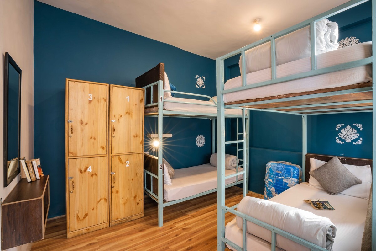 Zostel Leh | Bed in Standard 4 Bed Mixed Dorm