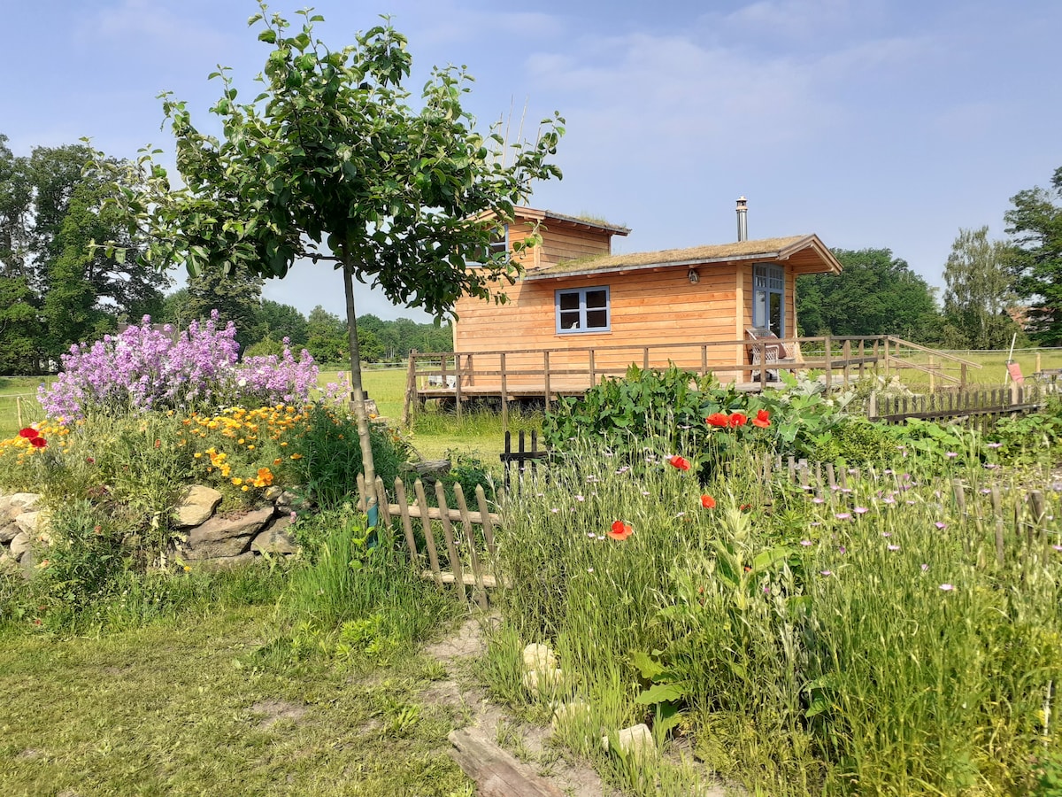 Tiny-House Storchennest