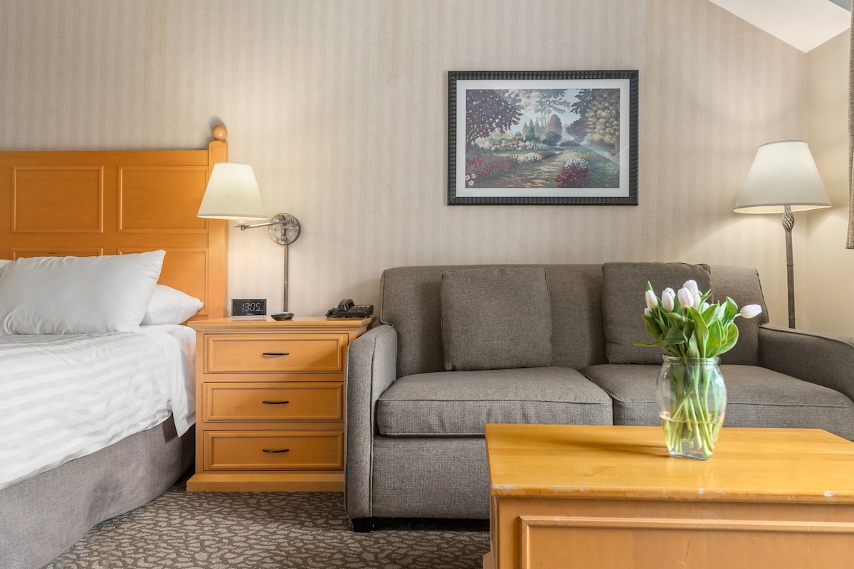 Pinnacle Whistler -豪华单间公寓一张标准双人床和沙发床