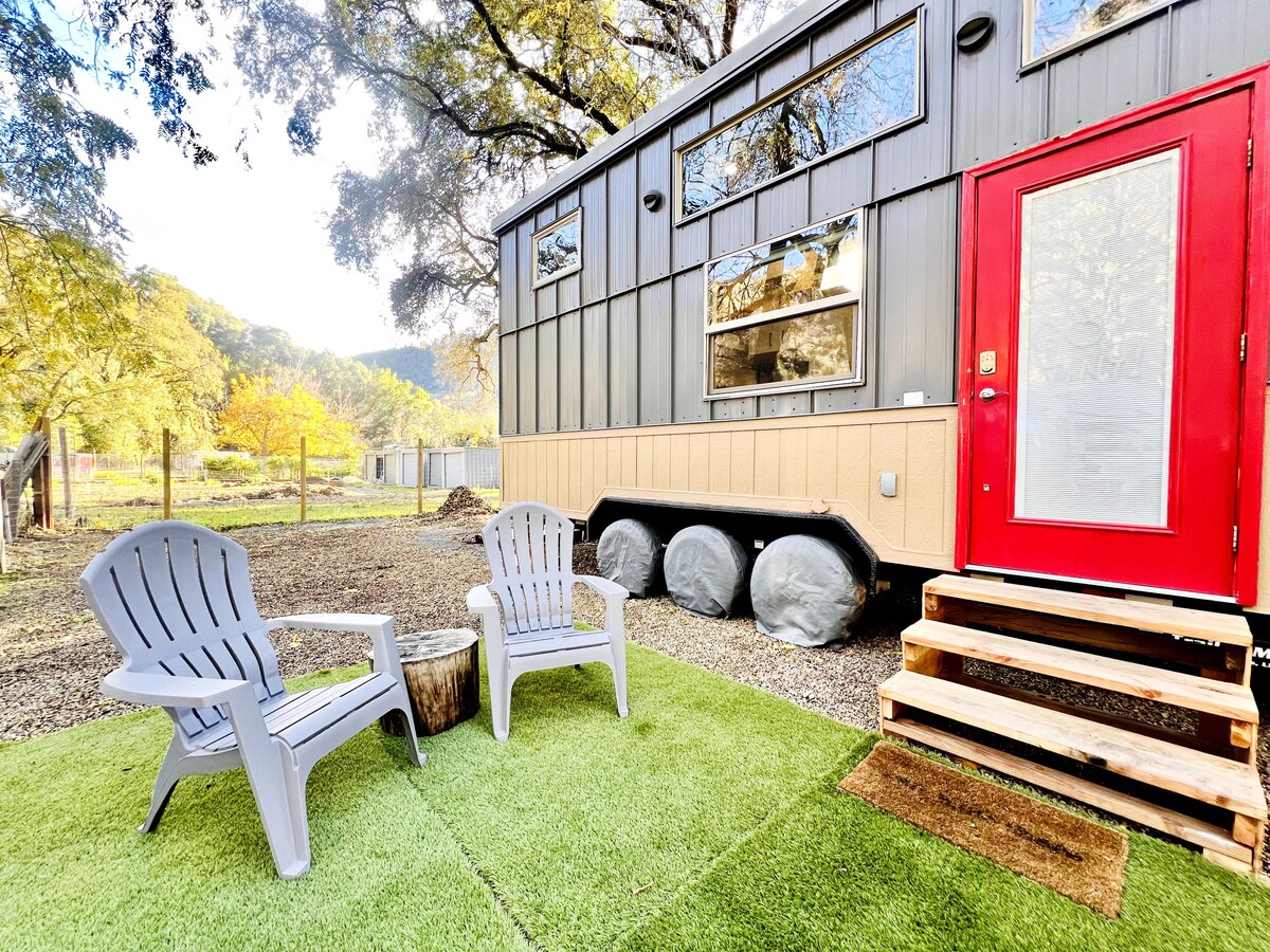 Blue Lake Bliss: Tiny Home in Nature 's Mist