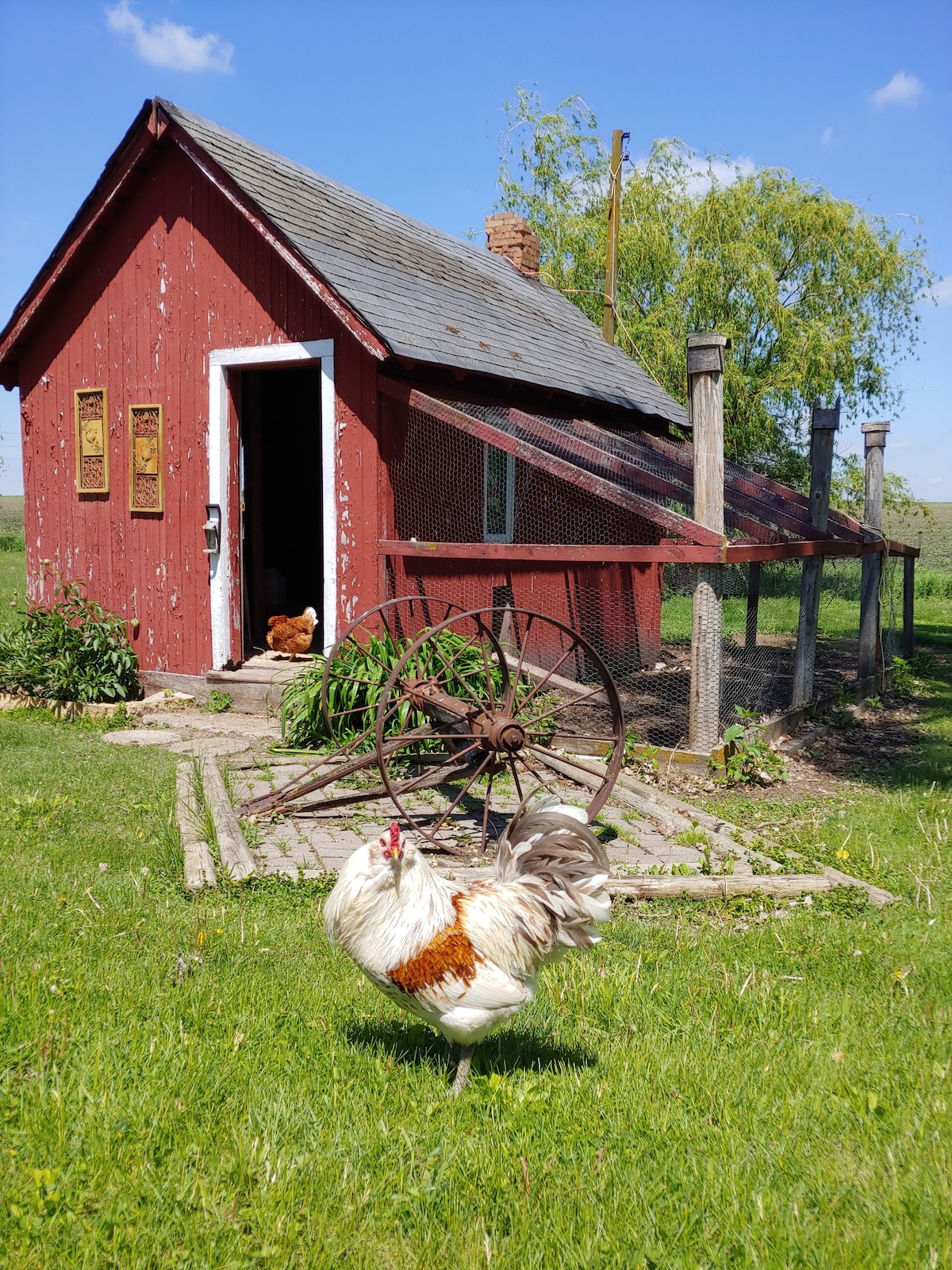 Farmhouse Retreat on 20 acre hobby farm