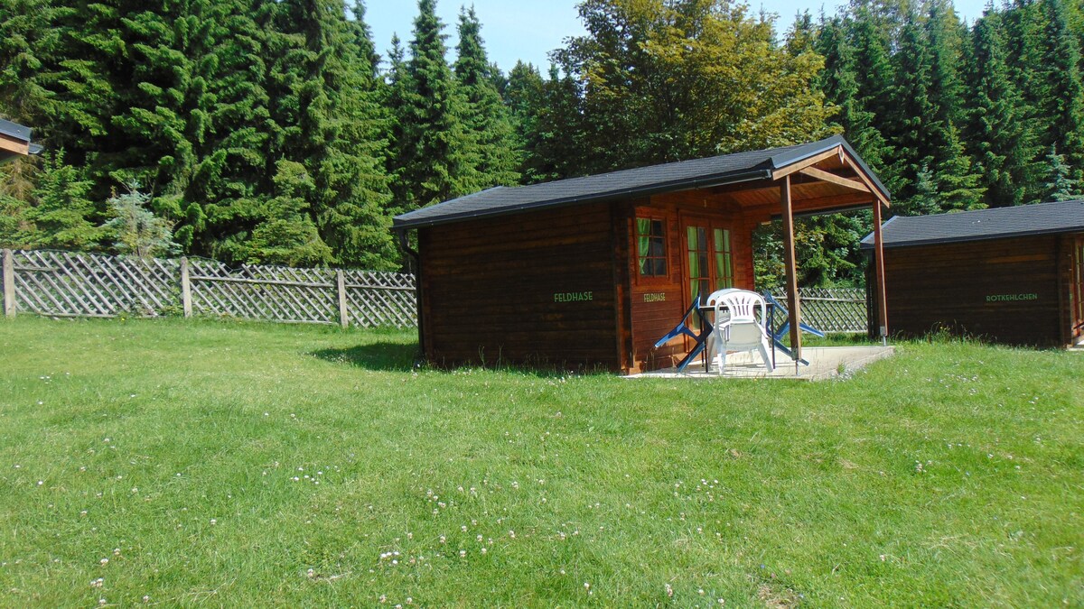 Blockhütte "Am Kegelsberg" Dachs