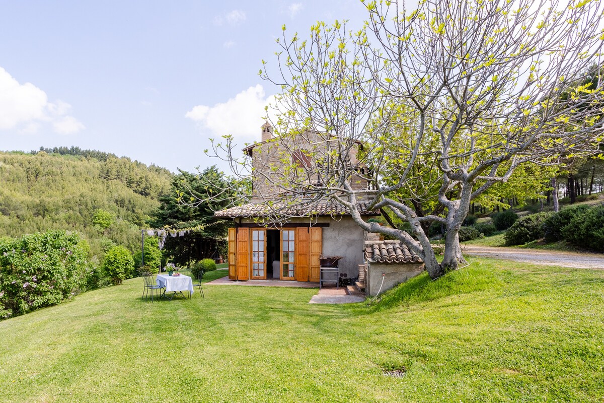 La Dimora nel Natura in Assisi