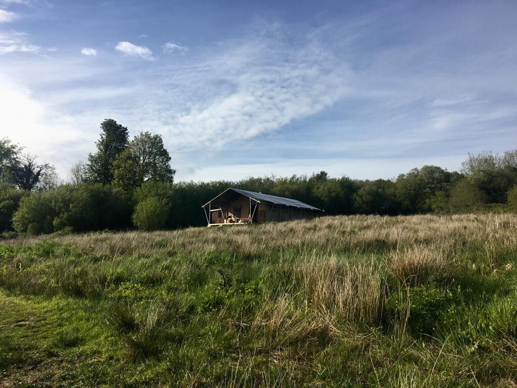 野生动物园小屋，离网吧，桑拿房，跳水泳池