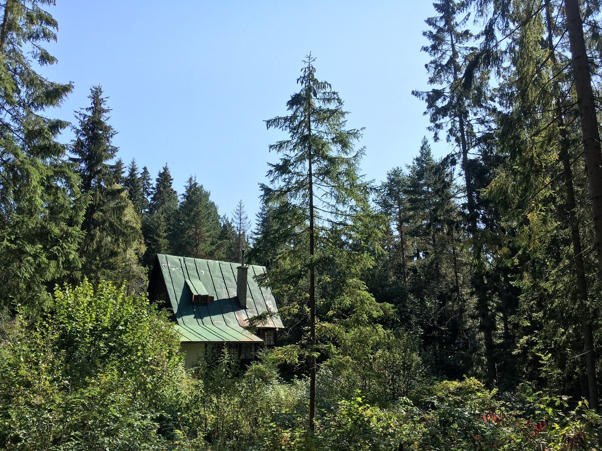 神奇的森林度假木屋