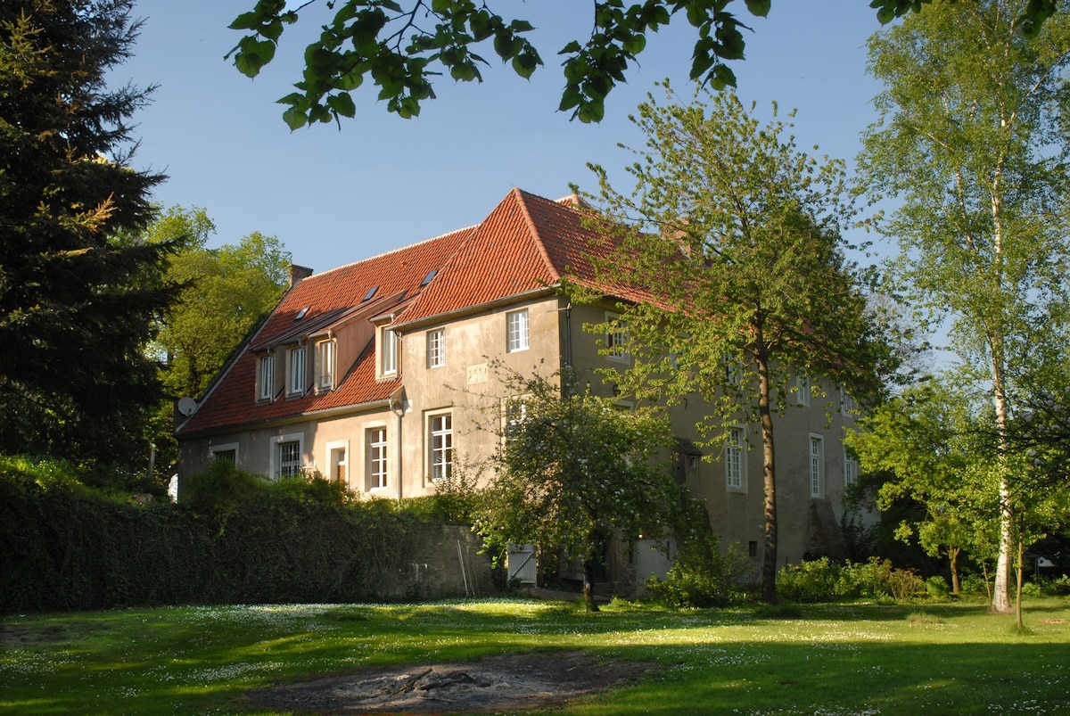 Haus Keppelborg ： ZI Ferdinand ，玫瑰花园景观