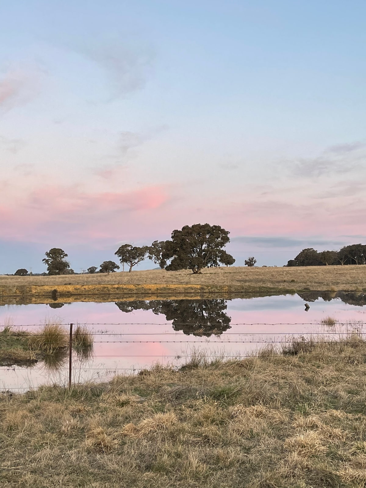 Nottingham Farm - Orange Farm Stay