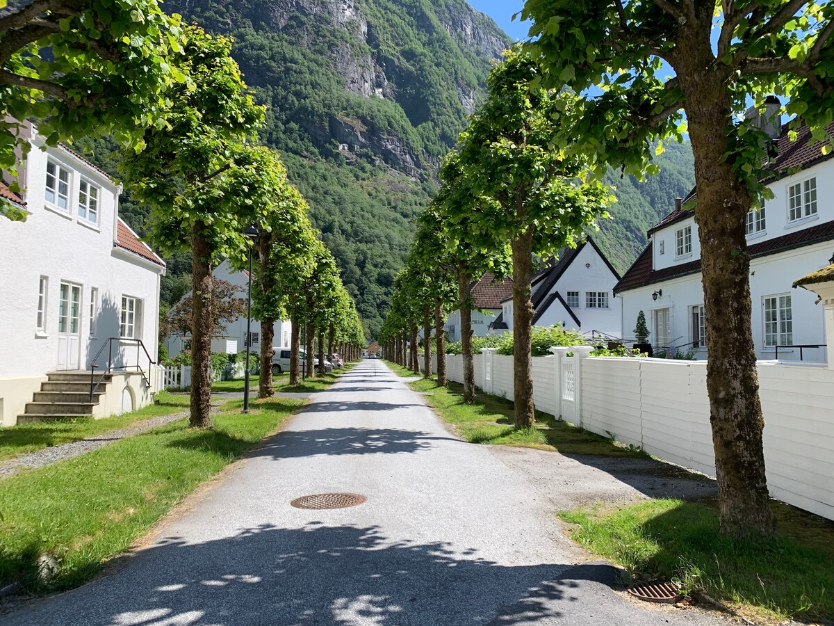 Sommeridyll ved fjorden med hage,badekai og kano