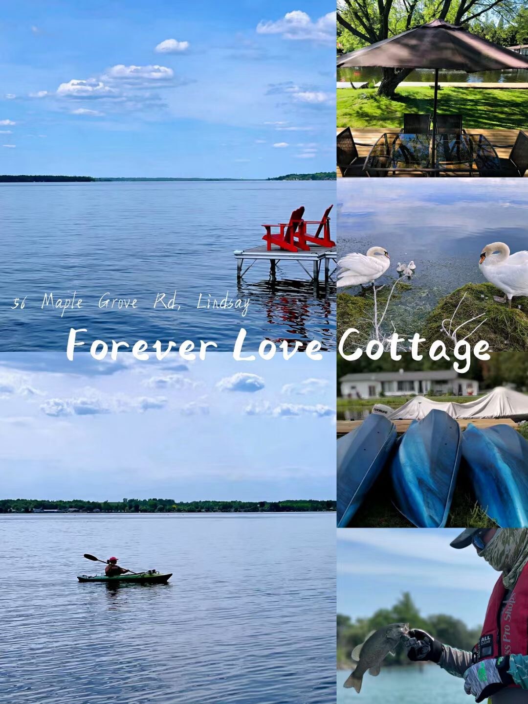 KAWARTHA LAKE-FOREVER LOVE乡村小屋