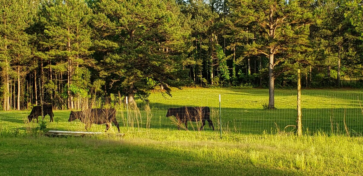 The Walston Farm & Campground