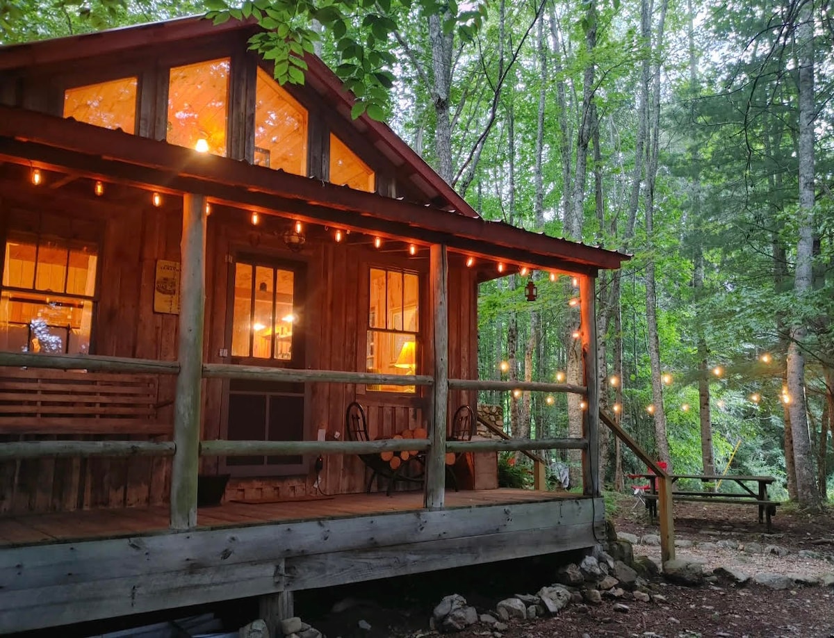 Holler Hideaway: Secluded cabin nestled on 16 ac.