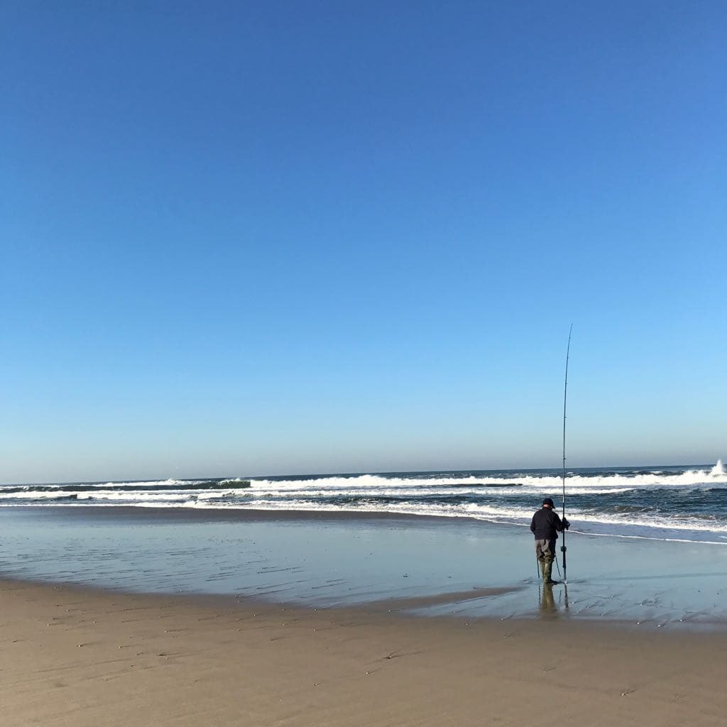 Live Vagueira Beach